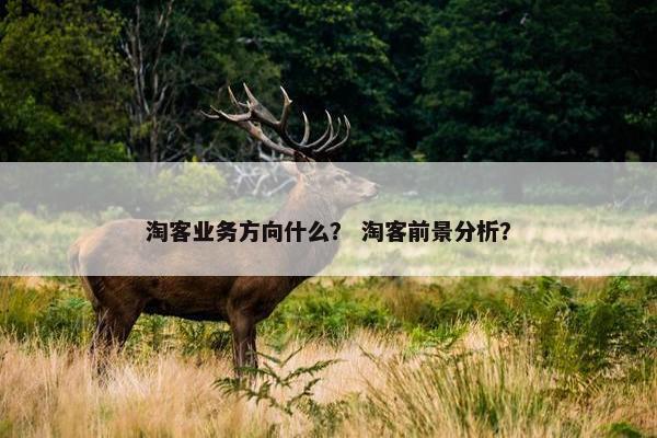 淘客业务方向什么？ 淘客前景分析？