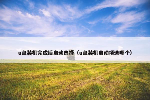 u盘装机完成后启动选择（u盘装机启动项选哪个）
