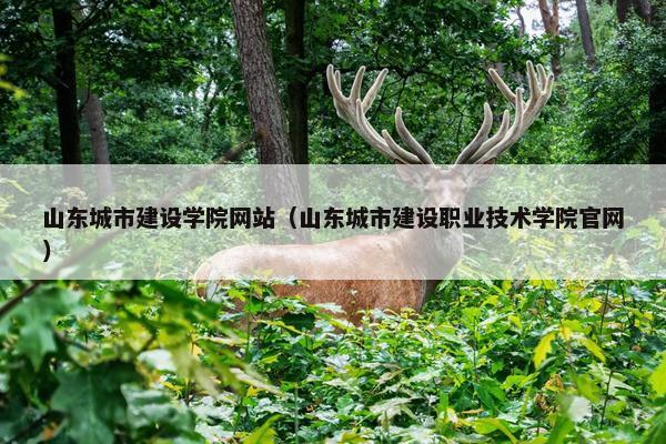 山东城市建设学院网站（山东城市建设职业技术学院官网）