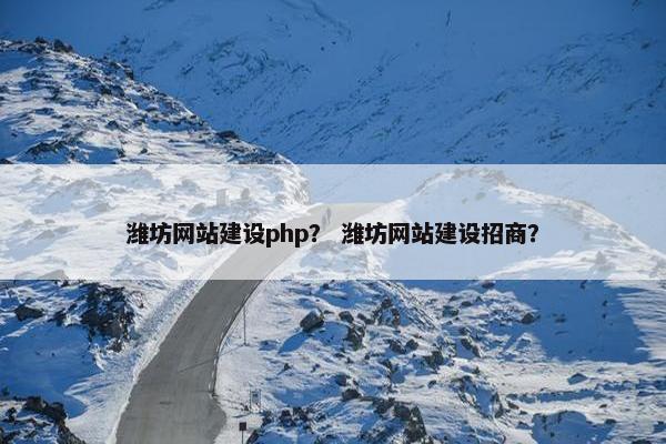 潍坊网站建设php？ 潍坊网站建设招商？