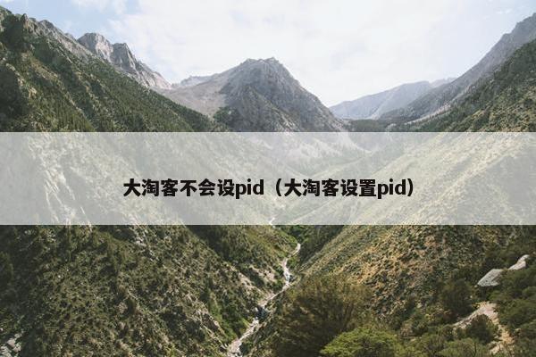 大淘客不会设pid（大淘客设置pid）