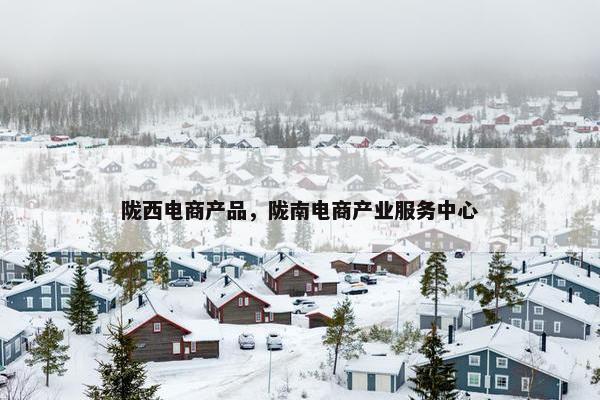 陇西电商产品，陇南电商产业服务中心