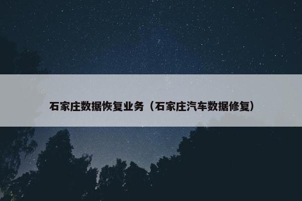 石家庄数据恢复业务（石家庄汽车数据修复）