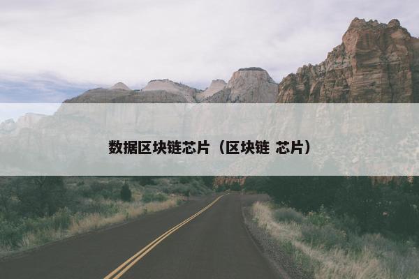 数据区块链芯片（区块链 芯片）