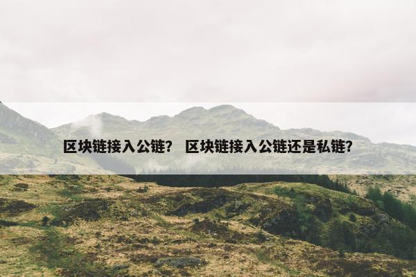 区块链接入公链？ 区块链接入公链还是私链？