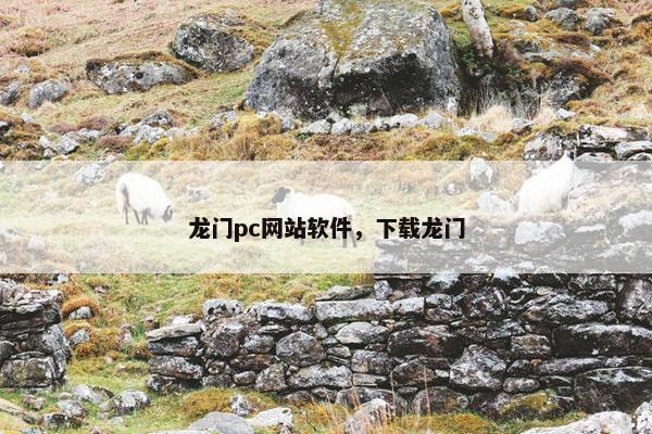 龙门pc网站软件，下载龙门