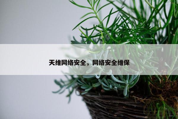 天维网络安全，网络安全维保
