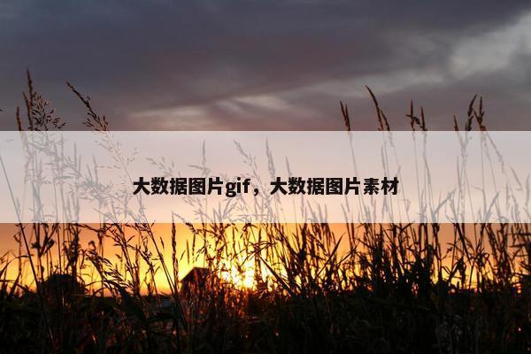 大数据图片gif，大数据图片素材