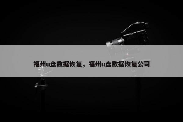 福州u盘数据恢复，福州u盘数据恢复公司