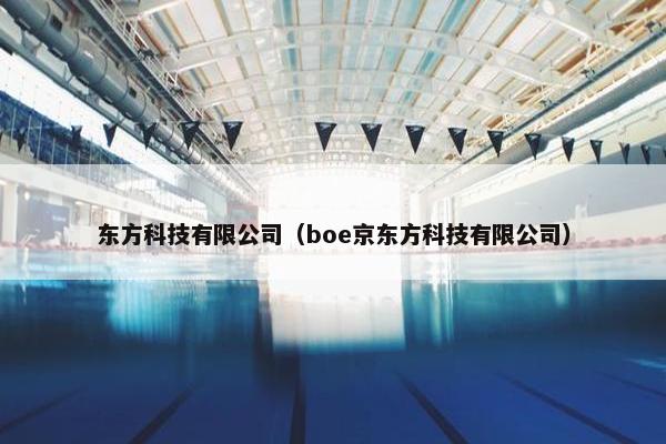 东方科技有限公司（boe京东方科技有限公司）