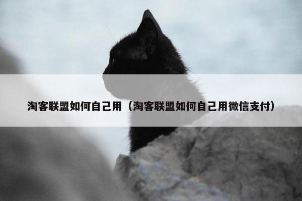 淘客联盟如何自己用（淘客联盟如何自己用微信支付）