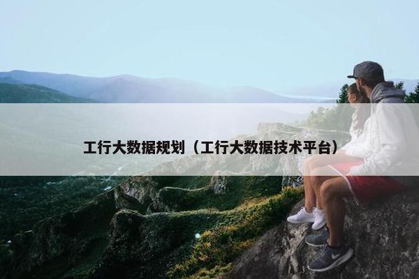 工行大数据规划（工行大数据技术平台）
