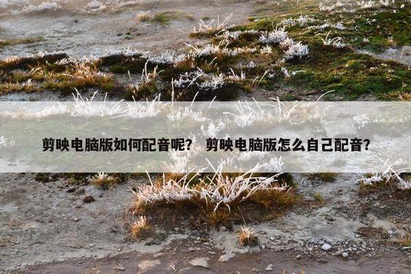 剪映电脑版如何配音呢？ 剪映电脑版怎么自己配音？