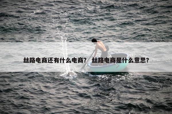 丝路电商还有什么电商？ 丝路电商是什么意思？