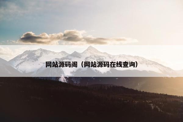 网站源码阁（网站源码在线查询）