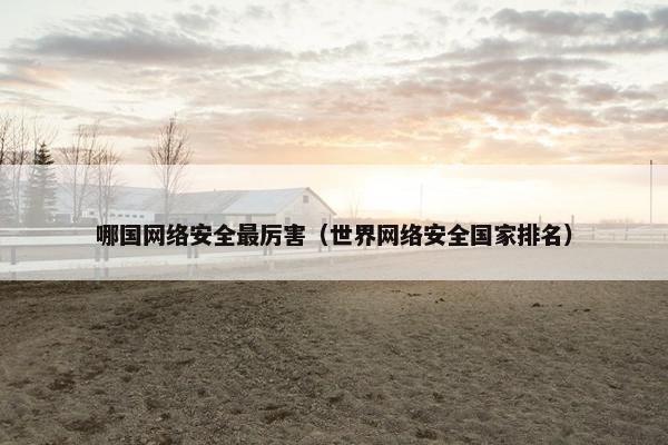 哪国网络安全最厉害（世界网络安全国家排名）
