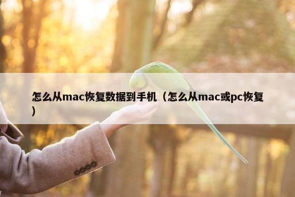 怎么从mac恢复数据到手机（怎么从mac或pc恢复）