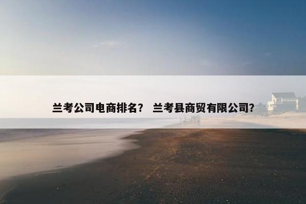 兰考公司电商排名？ 兰考县商贸有限公司？