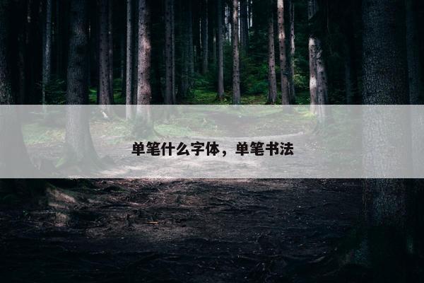 单笔什么字体，单笔书法