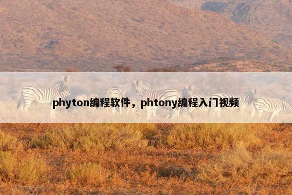 phyton编程软件，phtony编程入门视频