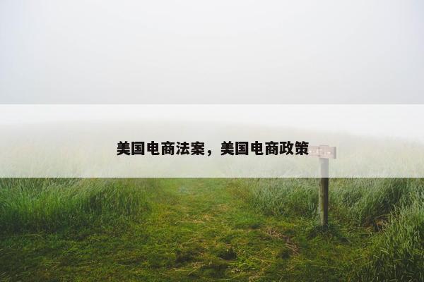 美国电商法案，美国电商政策