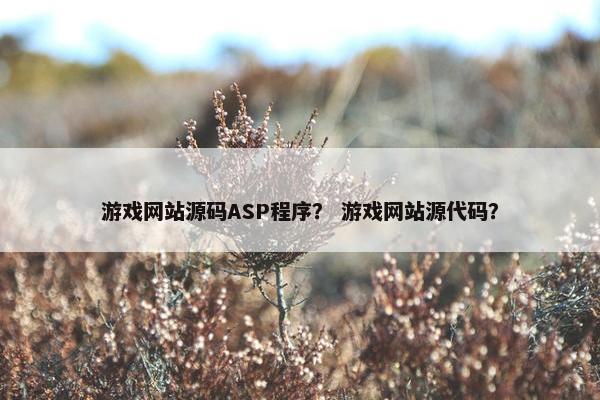 游戏网站源码ASP程序？ 游戏网站源代码？