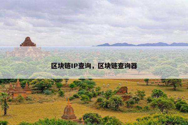 区块链IP查询，区块链查询器
