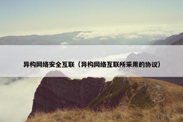 异构网络安全互联（异构网络互联所采用的协议）