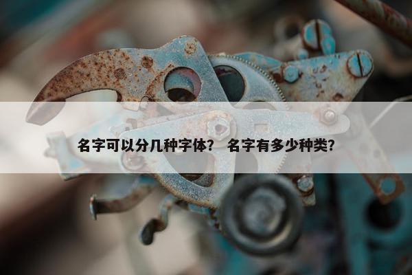 名字可以分几种字体？ 名字有多少种类？