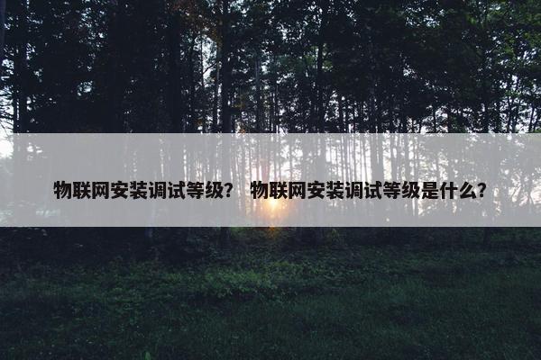 物联网安装调试等级？ 物联网安装调试等级是什么？