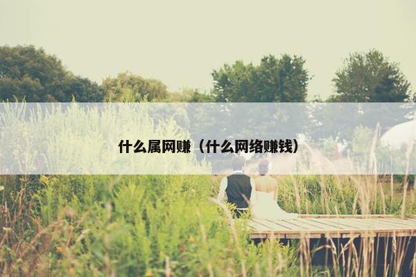什么属网赚（什么网络赚钱）