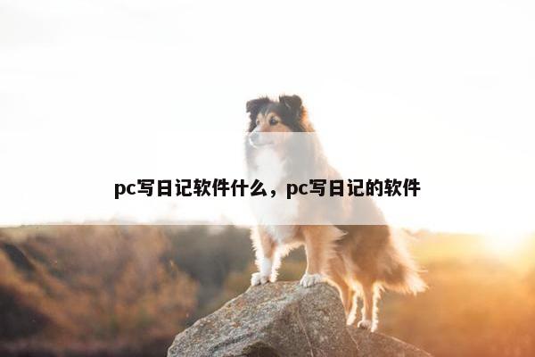 pc写日记软件什么，pc写日记的软件
