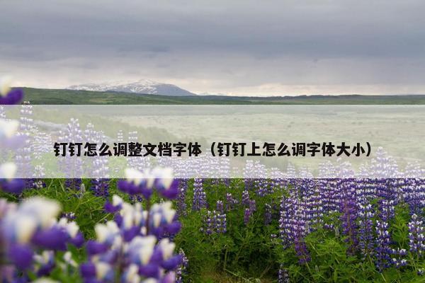 钉钉怎么调整文档字体（钉钉上怎么调字体大小）