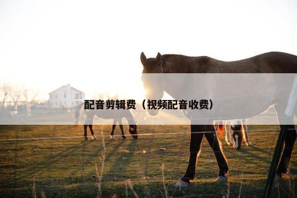 配音剪辑费（视频配音收费）