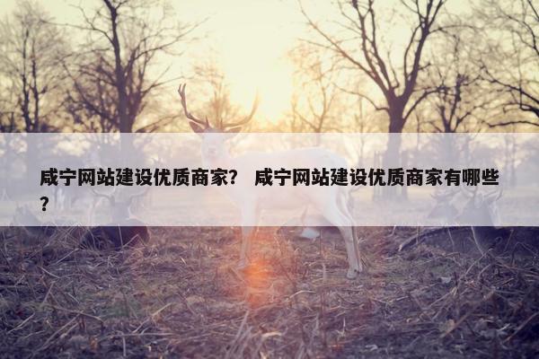 咸宁网站建设优质商家？ 咸宁网站建设优质商家有哪些？