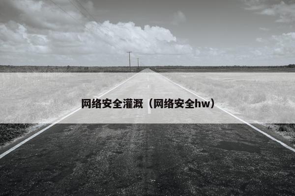 网络安全灌溉（网络安全hw）
