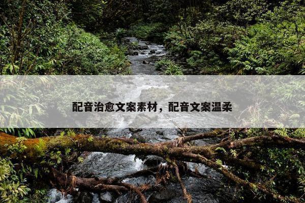 配音治愈文案素材，配音文案温柔