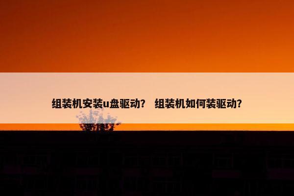 组装机安装u盘驱动？ 组装机如何装驱动？