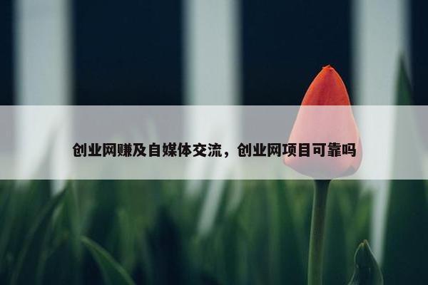 创业网赚及自媒体交流，创业网项目可靠吗