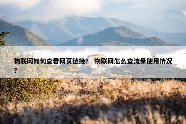 物联网如何查看网页链接？ 物联网怎么查流量使用情况？