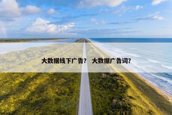 大数据线下广告？ 大数据广告词？
