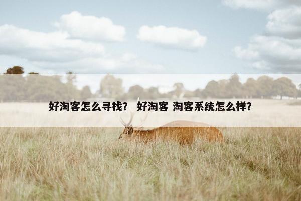 好淘客怎么寻找？ 好淘客 淘客系统怎么样？