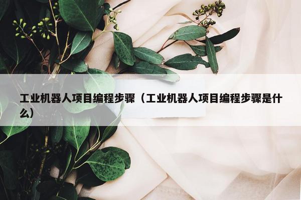 工业机器人项目编程步骤（工业机器人项目编程步骤是什么）