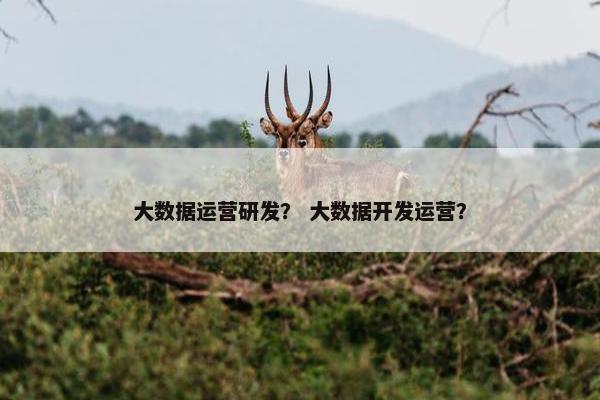 大数据运营研发？ 大数据开发运营？