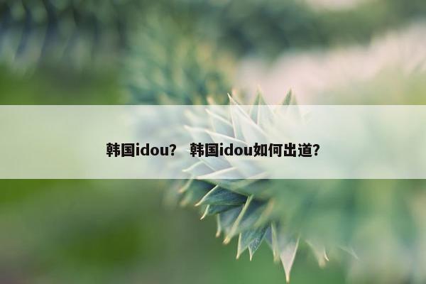 韩国idou？ 韩国idou如何出道？