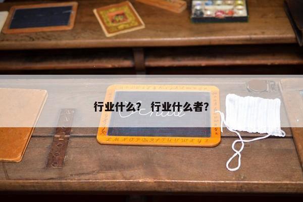 行业什么？ 行业什么者？