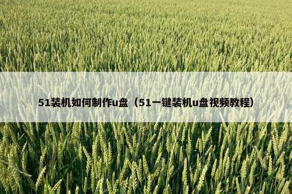 51装机如何制作u盘（51一键装机u盘视频教程）