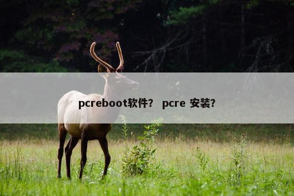 pcreboot软件？ pcre 安装？