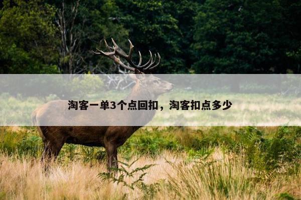 淘客一单3个点回扣，淘客扣点多少