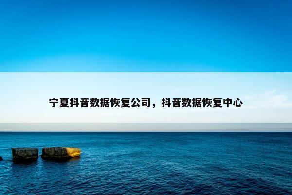 宁夏抖音数据恢复公司，抖音数据恢复中心
